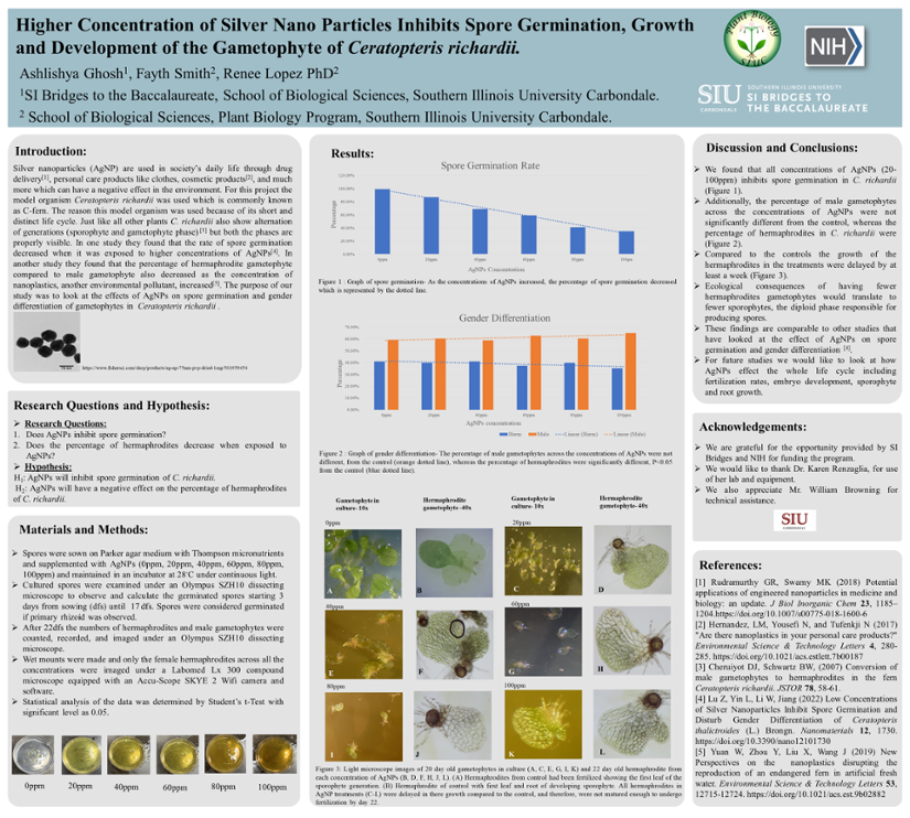 Ashlishya Ghosh's research poster