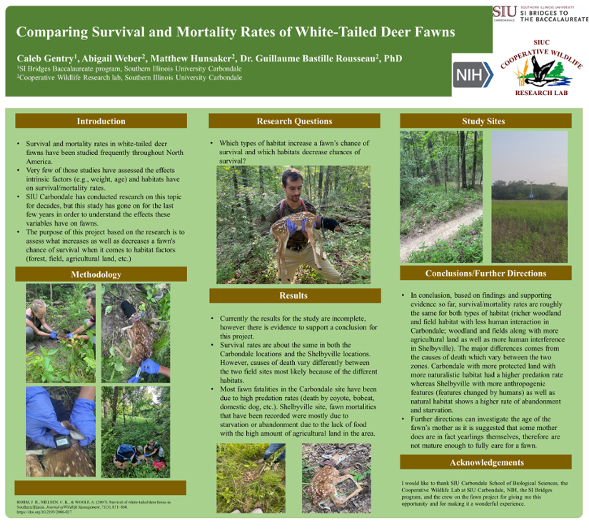 Caleb Gentry's research poster