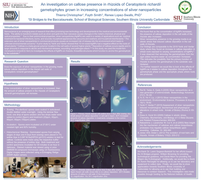 Thierra Christopher' research poster