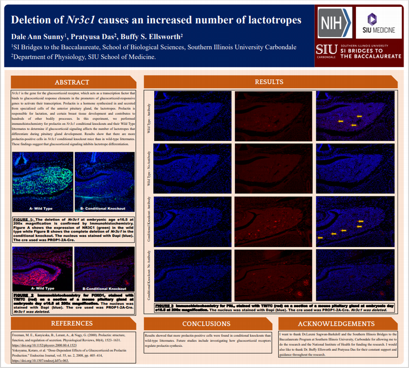 SI Bridges Scholar Dale Ann Sunny SRI Poster