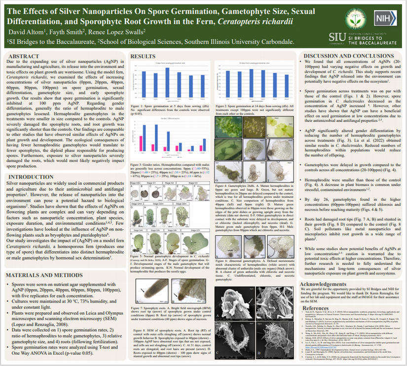 SI Bridges Scholar David Altom SRI Poster