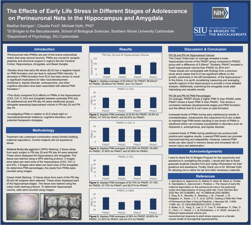 SI Bridges Scholar Madilyn Kerrigan SRI Poster