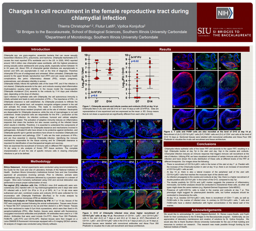 SI Bridges Scholar Thierra Christopher SRI Poster